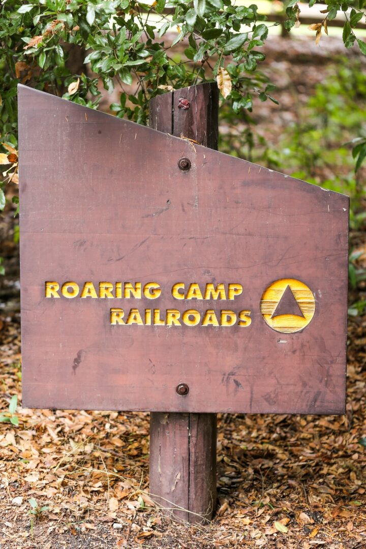 Guide to Henry Cowell Redwoods State Park & Roaring Camp Railroad and ...